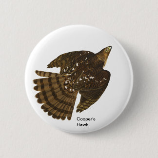Coopers Hawk von John James Audubon, Hawk Bird Button