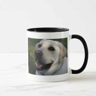 COORS TASSE