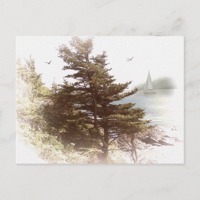 Coos Bay Oregon Postkarte (Vorderseite)