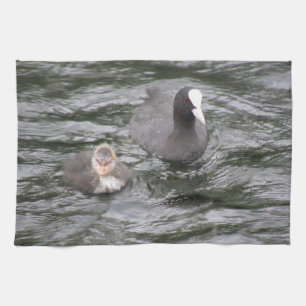 Coot and Chick Kittuch Geschirrtuch