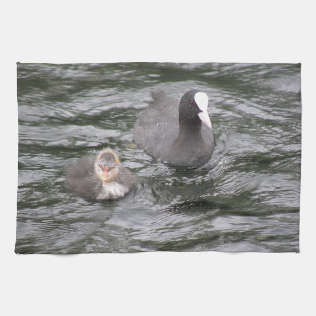 Coot and Chick Kittuch Geschirrtuch (Horizontal)