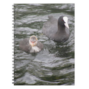 Coot and Chick Notebook Notizblock