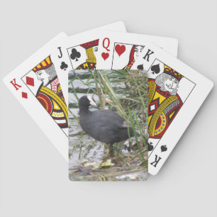 Coot auf den Riverbank Spielkarten