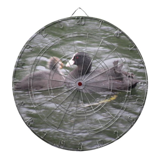 Coot Fütternd Hungerkick Dart Board Dartscheibe (vorne)