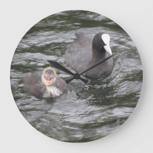 Coot und Chick Clock Große Wanduhr
