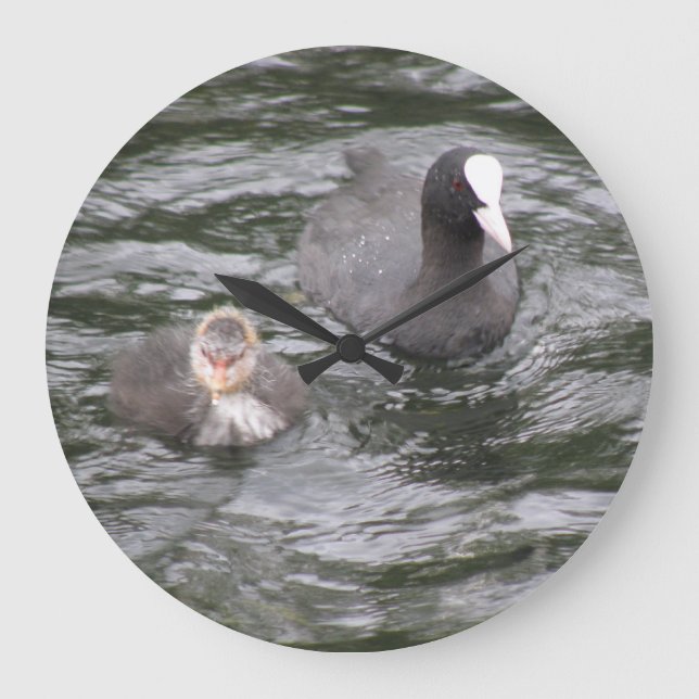 Coot und Chick Clock Große Wanduhr (Vorderseite)