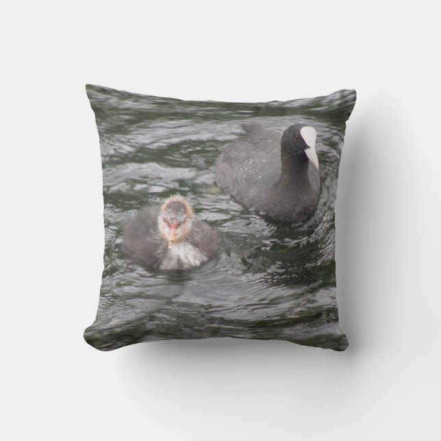 Coot und Chick Kissen (Vorderseite)
