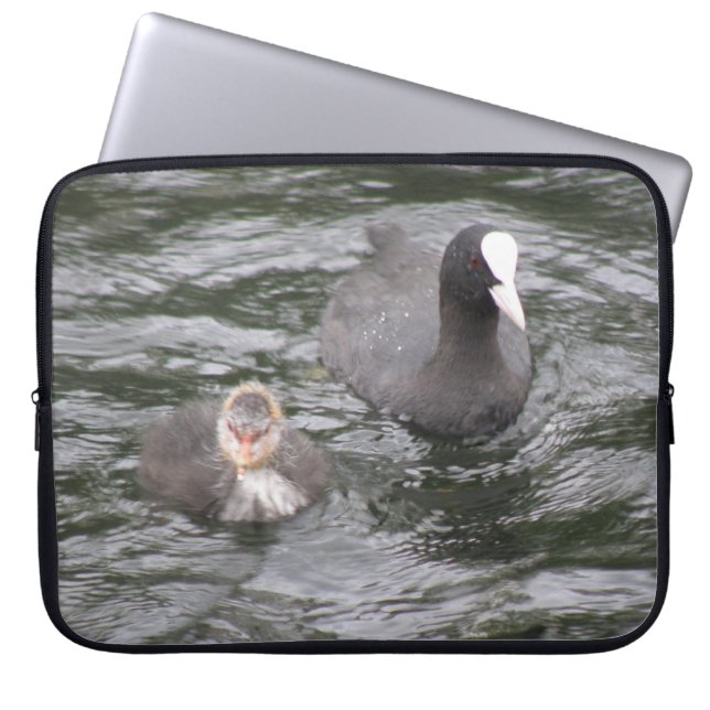 Coot und Chick Laptop Sleeve (Vorderseite)