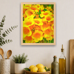 Copa de Oro Art Print Poster