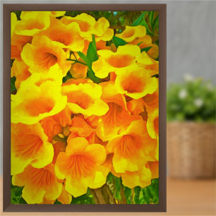 Copa de Oro Art Print Poster