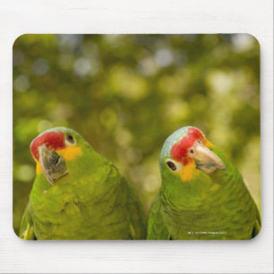 Copan, Honduras Mousepad