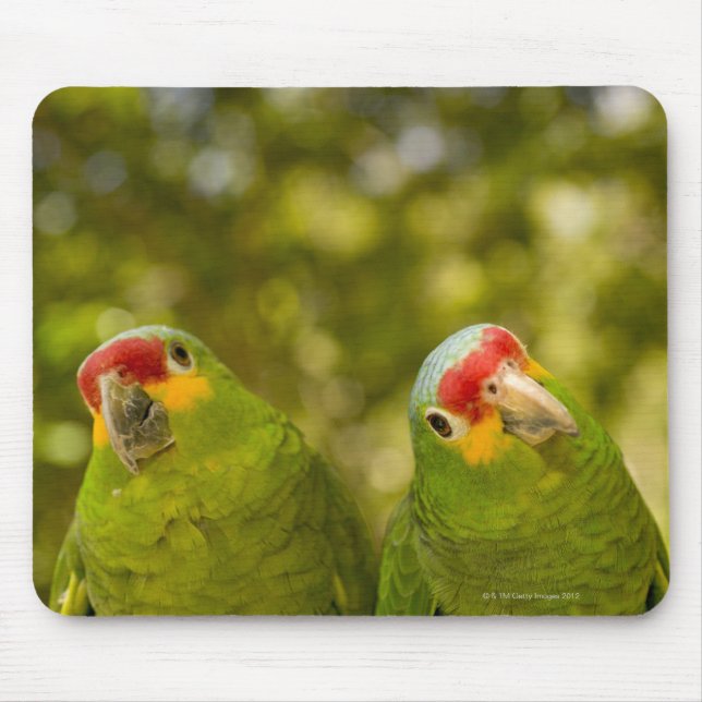Copan, Honduras Mousepad (Vorne)