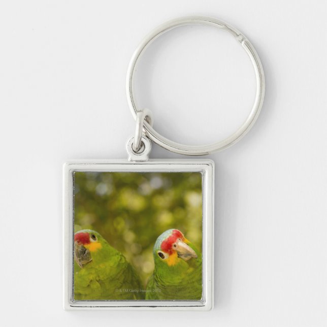 Copan, Honduras Schlüsselanhänger (Vorne)