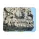 Copan Mayan Ruins Honduras Kühlschrank Foto Magnet (Horizontal)