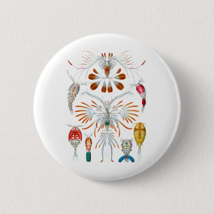 Copepods Button