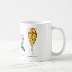 Copepods Kaffeetasse