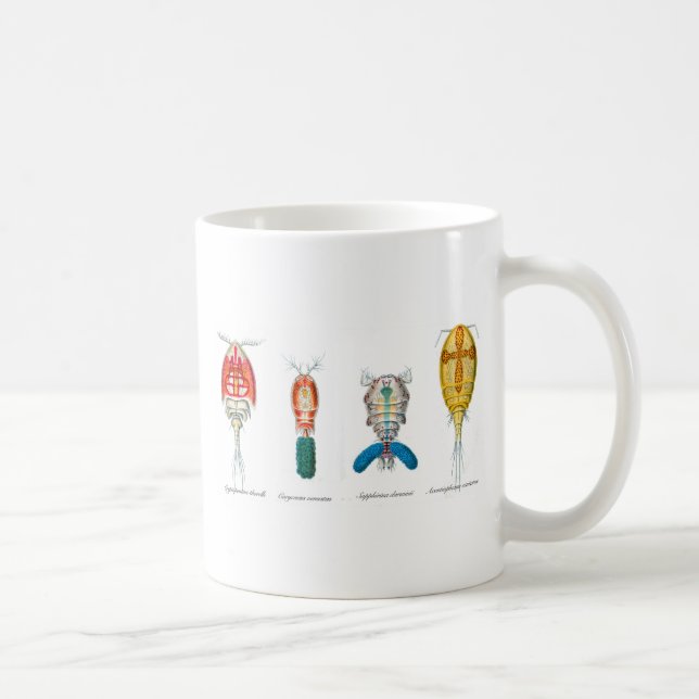 Copepods Kaffeetasse (Rechts)