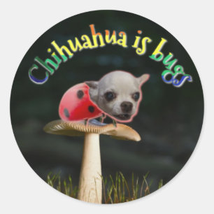 Copernicus-Bug Runder Aufkleber