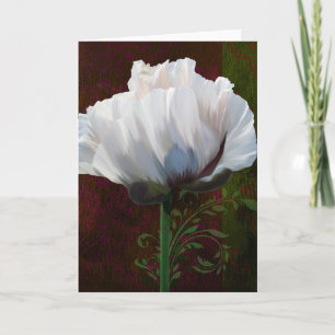 Coquelicot in White Poppy Greeting Card. Karte