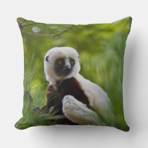 Coquerels Sifaka im Wald 2 Kissen