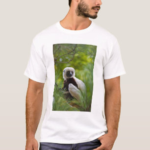 Coquerels Sifaka im Wald 2 T-Shirt
