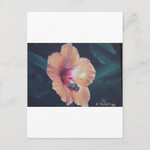 COQUI POSTKARTE