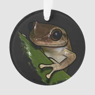 Coqui Puerto Rico Ornament