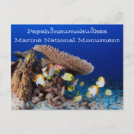 Coral and Fish, Pearl and Hermes Atoll Postkarte