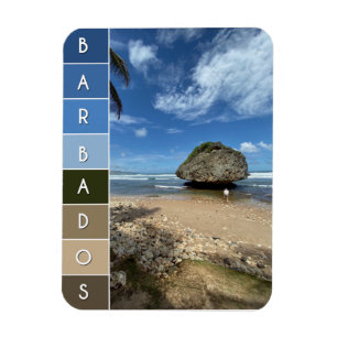 Coral Boulder - Bathsheba, Barbados Magnet