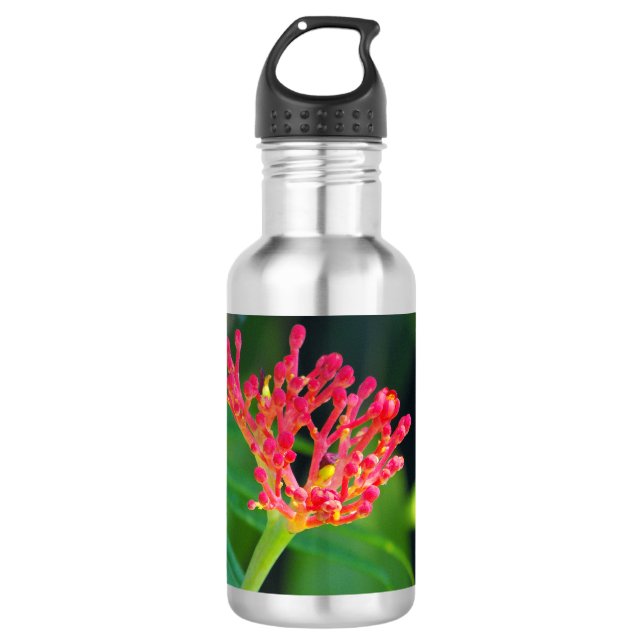 Coral Bush in Blüte Edelstahlflasche (Vorderseite)