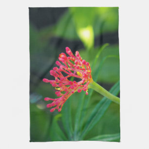 Coral Bush in Blüte Geschirrtuch