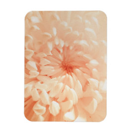 Coral Chrysanthemum Magnet