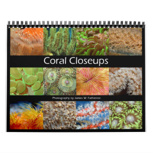 Coral Closeups Wall Calendar von J.W. Vater. Kalender