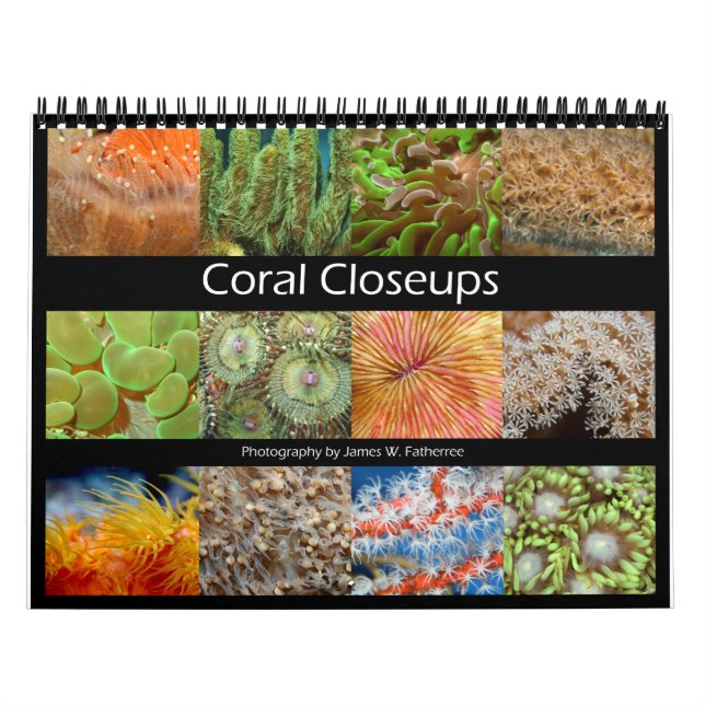 Coral Closeups Wall Calendar von J.W. Vater. Kalender (Titelbild)