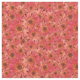 Coral Colored Gerbera Daisies Fotos Gemustert Stoff