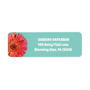 Coral Colored Gerbera Daisy Foto Mint Green
