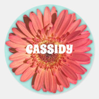 Coral Colored Gerbera Daisy Foto Mint Green