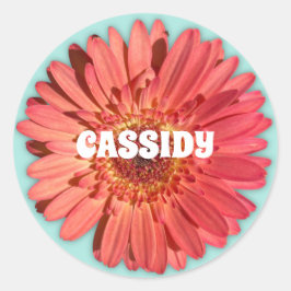 Coral Colored Gerbera Daisy Foto Mint Green Runder Aufkleber