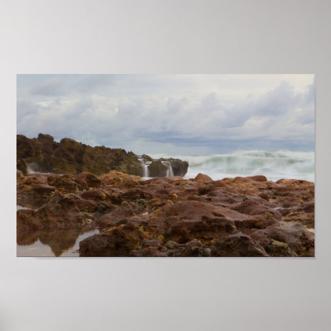 Coral Cove Park Beach, Florida Poster (Vorne)