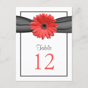 Coral Daisy Gray Gray Ribbon Tischnummer Card