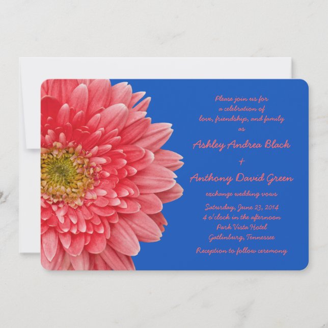 Coral Gerbera Daisy Royal Blue Wedding Einladung (Vorderseite)