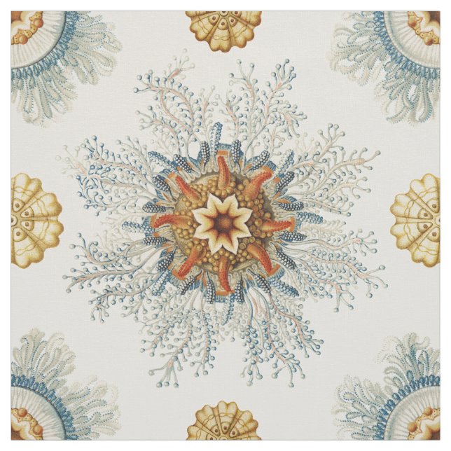 Coral Mandala Pattern Stoff (Muster)