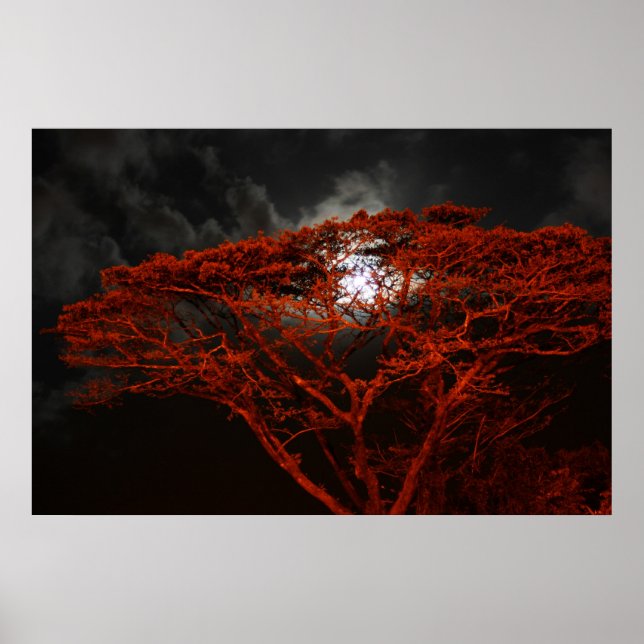 Coral Monkeypod und das Mondplakat Poster (Vorne)