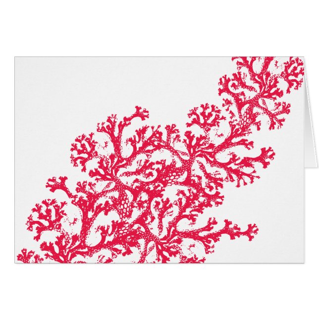 Coral Motif (Vorderseite (Horizontal))