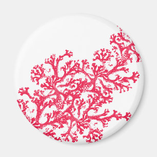 Coral Motif Magnet