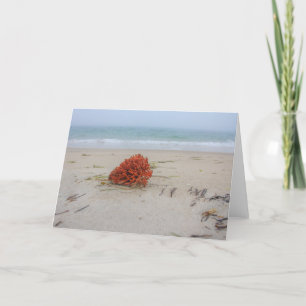 Coral Note Card Karte