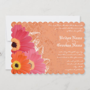 Coral & Orange Gerber Daisy Wedding Einladung