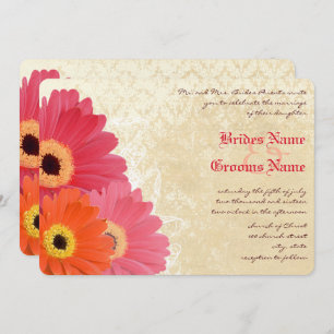 Coral Orange Pink Gerber Daisy Wedding Einladung