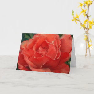 Coral Orange Rote Rose Art Note Card Karte