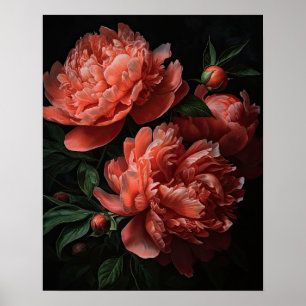 Coral Peony Blume Art Print Poster